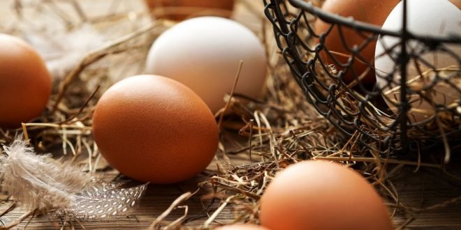 جائحة فيروس كورونا تكبد قطاع إنتاج بيض